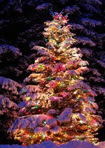 A christmas tree is lit up in the snow.