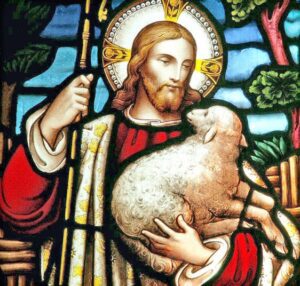 We Are The Sheep Of His Pasture